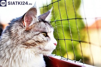 Siatki Żory - Siatka na balkony dla kota i zabezpieczenie dzieci dla terenów Żor