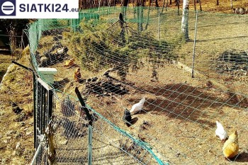 Siatki Żory - Siatka na woliery - zabezpieczenia ptaków w hodowli dla terenów Żor